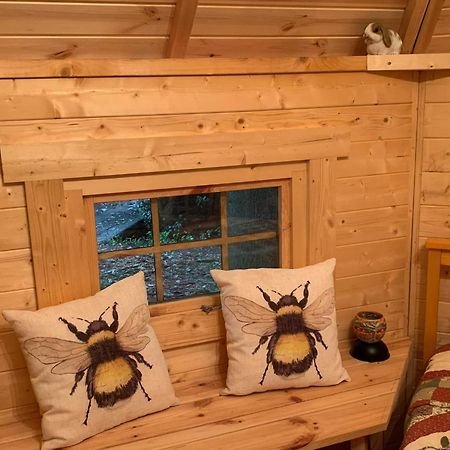 Starry Meadow & Rescued Animal Experiences Villa Great Yarmouth Rum bild