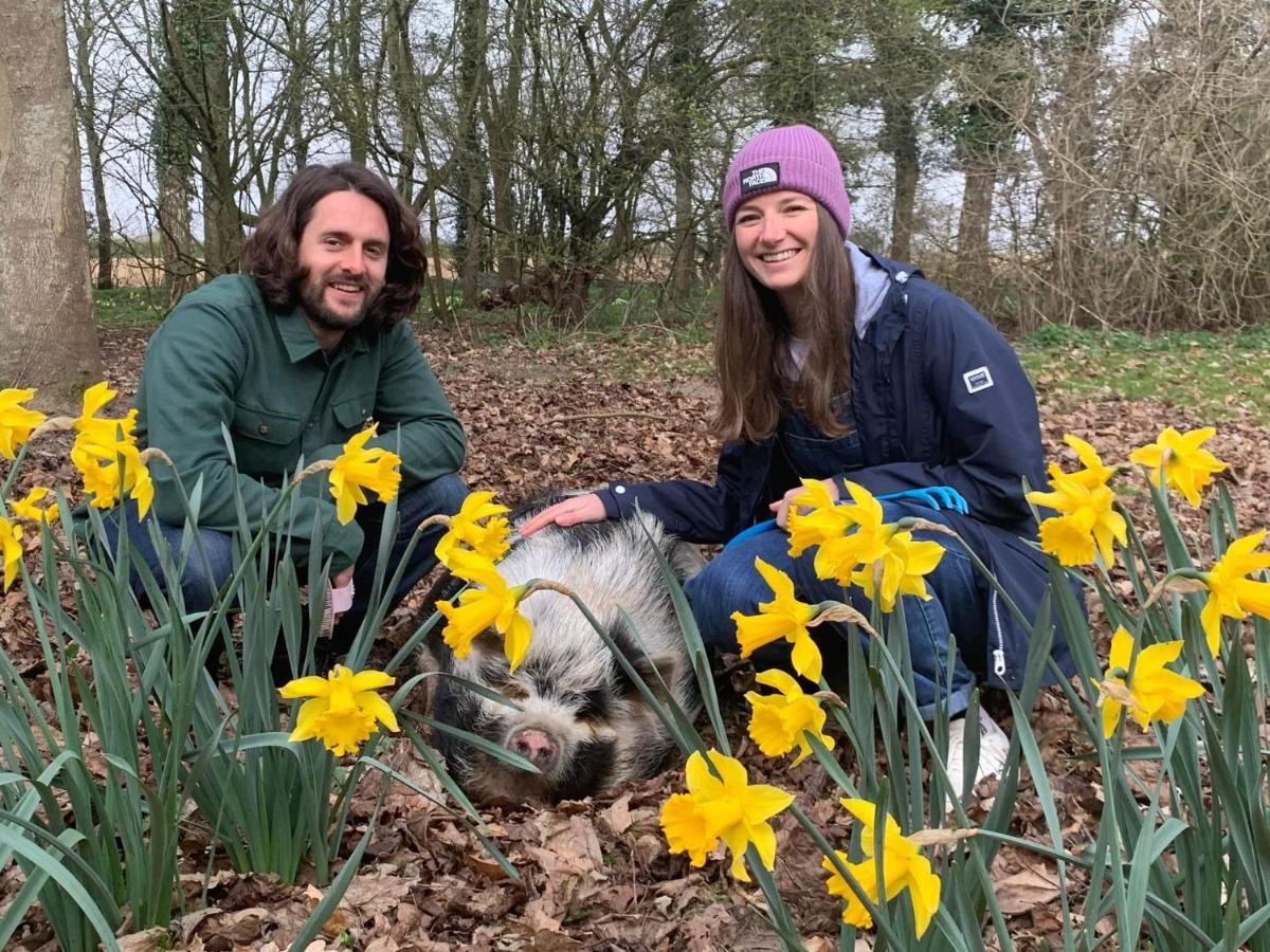 Starry Meadow & Rescued Animal Experiences Villa Great Yarmouth Exteriör bild