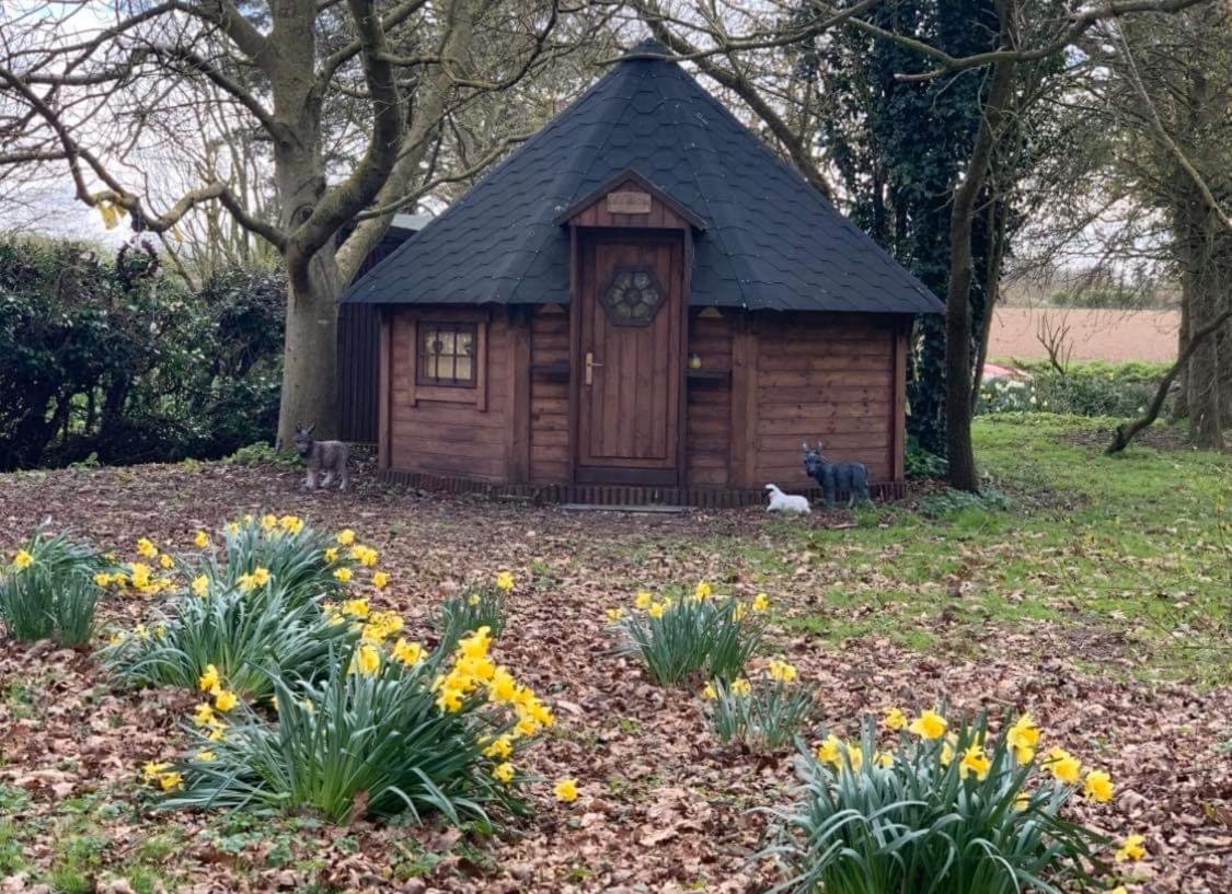 Starry Meadow & Rescued Animal Experiences Villa Great Yarmouth Exteriör bild