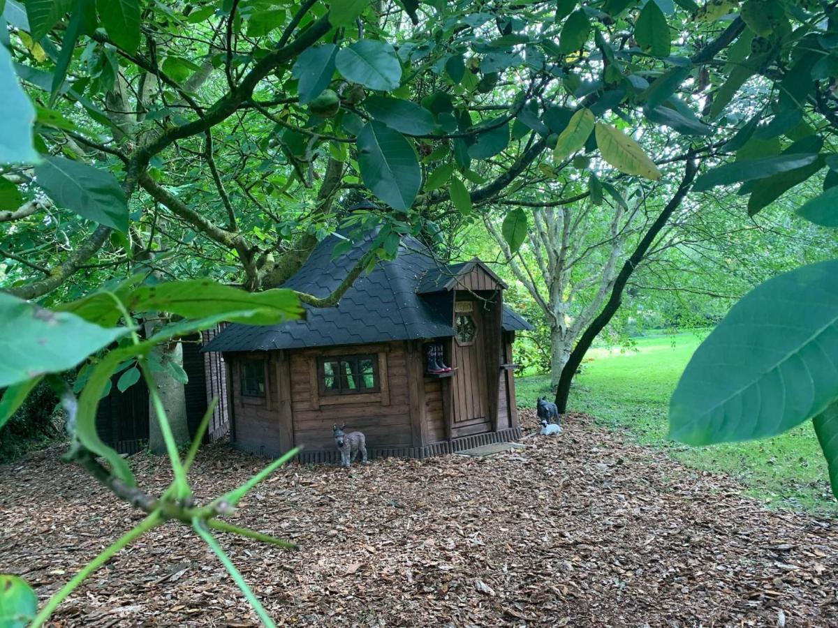 Starry Meadow & Rescued Animal Experiences Villa Great Yarmouth Exteriör bild
