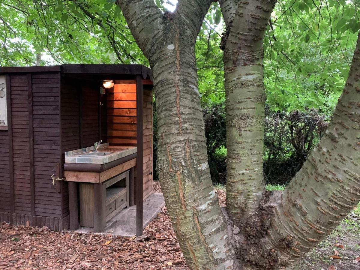 Starry Meadow & Rescued Animal Experiences Villa Great Yarmouth Exteriör bild