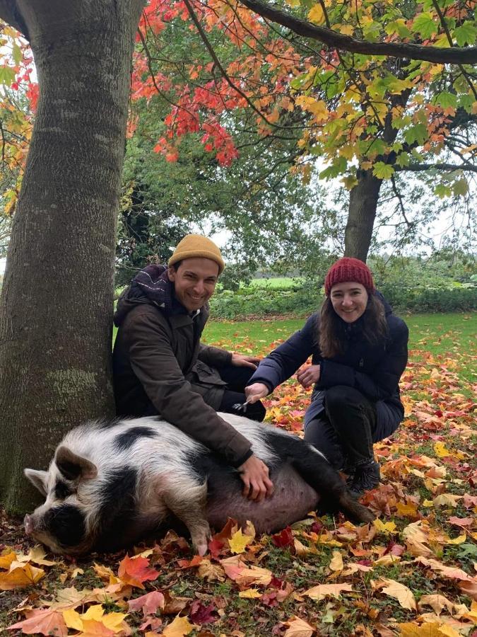 Starry Meadow & Rescued Animal Experiences Villa Great Yarmouth Exteriör bild