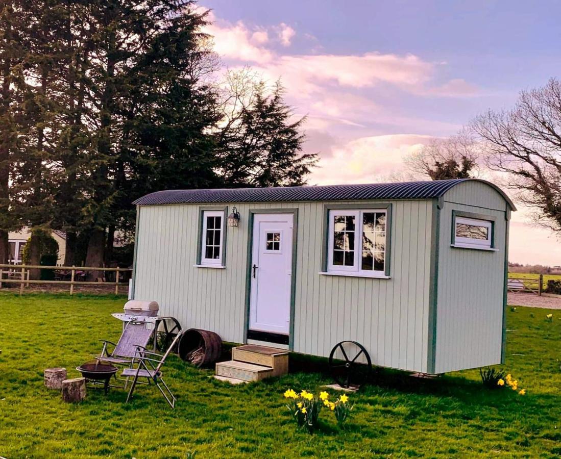 Starry Meadow & Rescued Animal Experiences Villa Great Yarmouth Exteriör bild