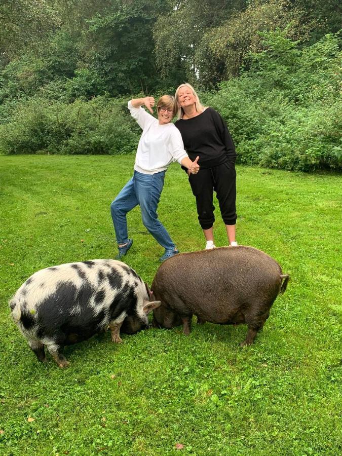 Starry Meadow & Rescued Animal Experiences Villa Great Yarmouth Exteriör bild