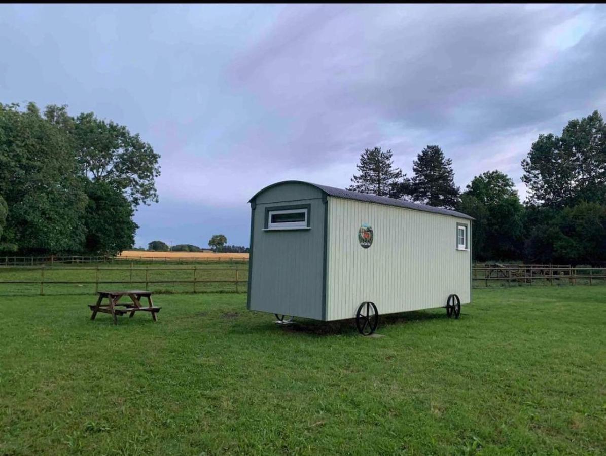 Starry Meadow & Rescued Animal Experiences Villa Great Yarmouth Exteriör bild