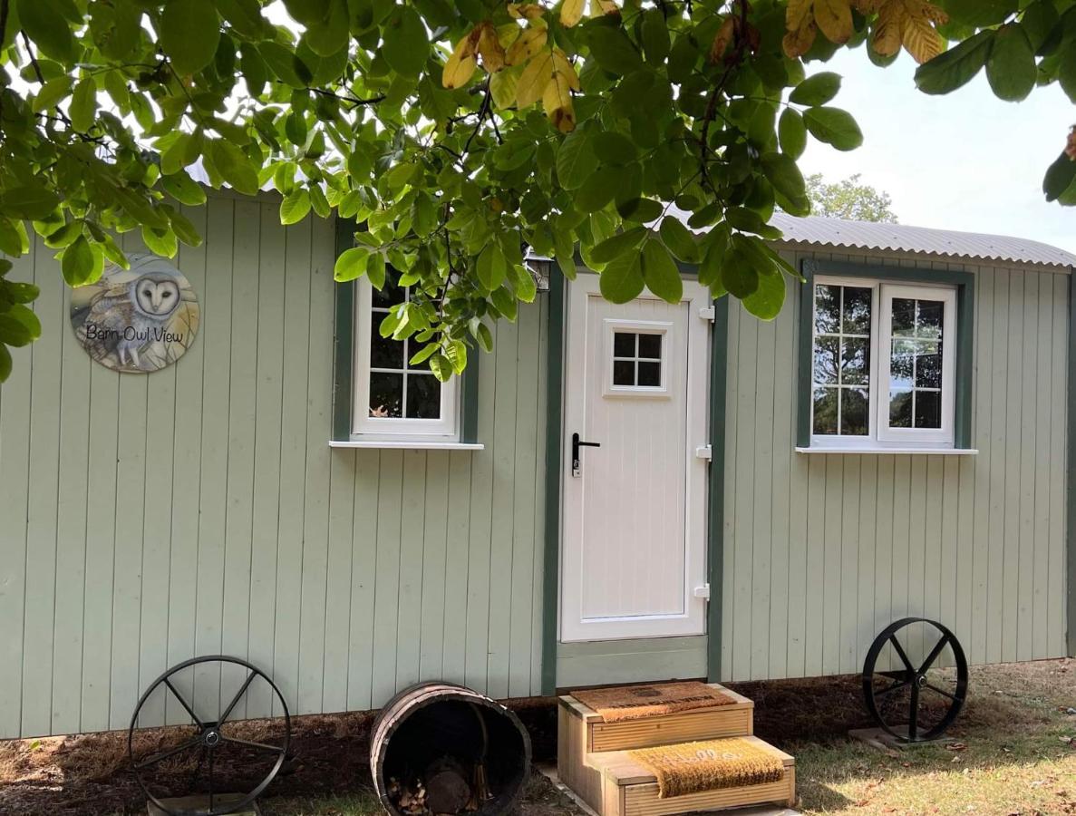Starry Meadow & Rescued Animal Experiences Villa Great Yarmouth Rum bild