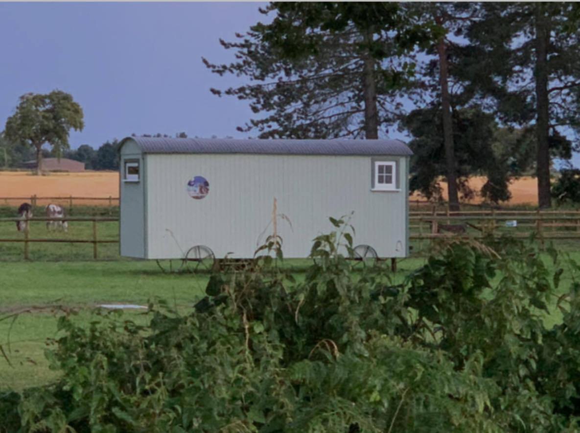 Starry Meadow & Rescued Animal Experiences Villa Great Yarmouth Exteriör bild