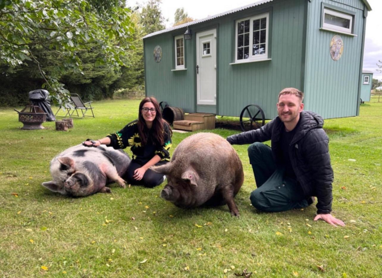 Starry Meadow & Rescued Animal Experiences Villa Great Yarmouth Exteriör bild