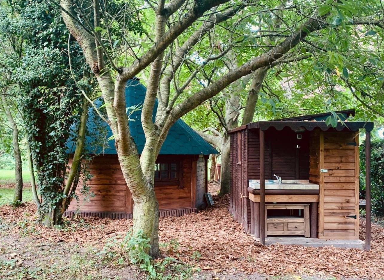 Starry Meadow & Rescued Animal Experiences Villa Great Yarmouth Exteriör bild