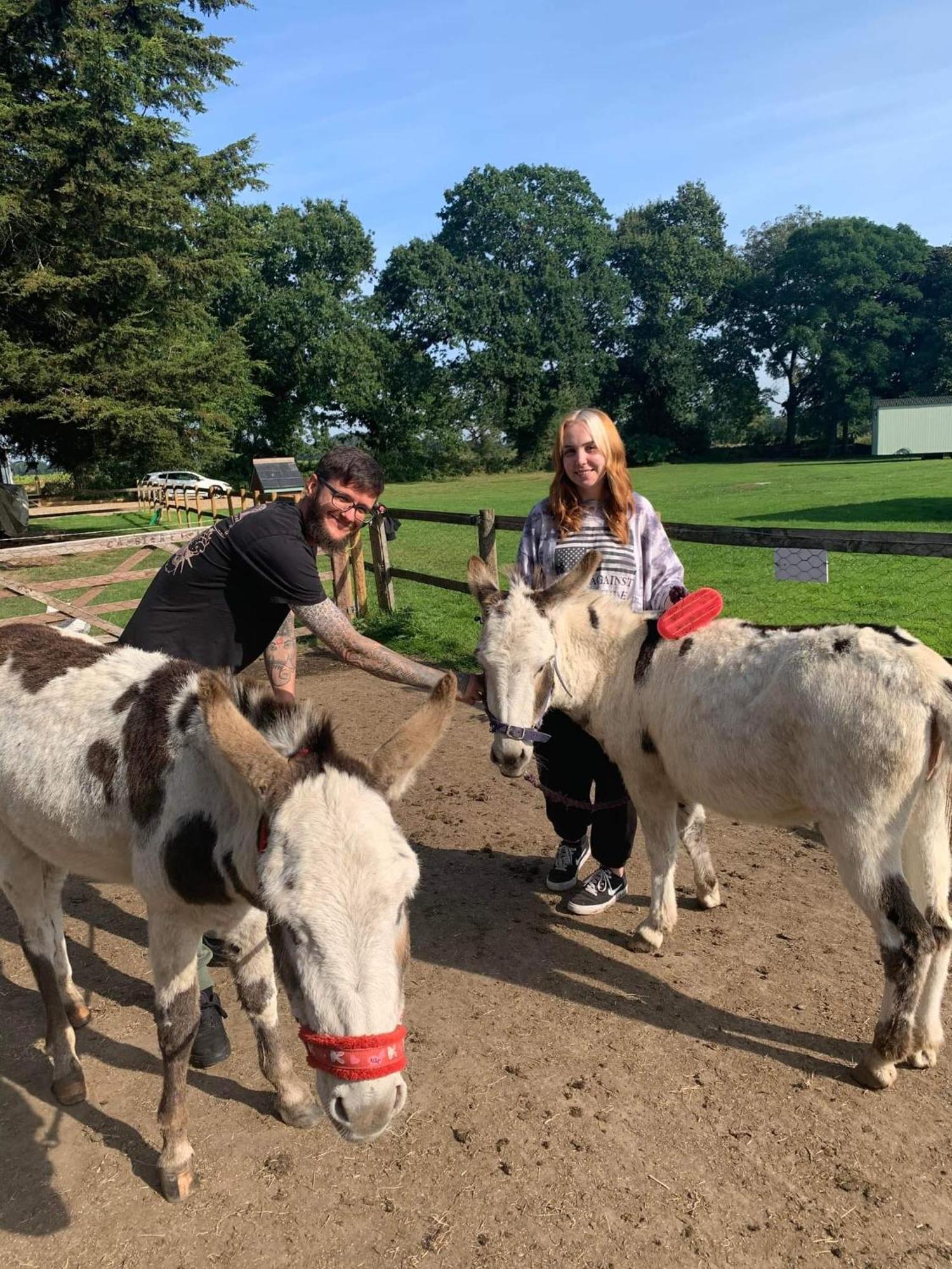 Starry Meadow & Rescued Animal Experiences Villa Great Yarmouth Rum bild