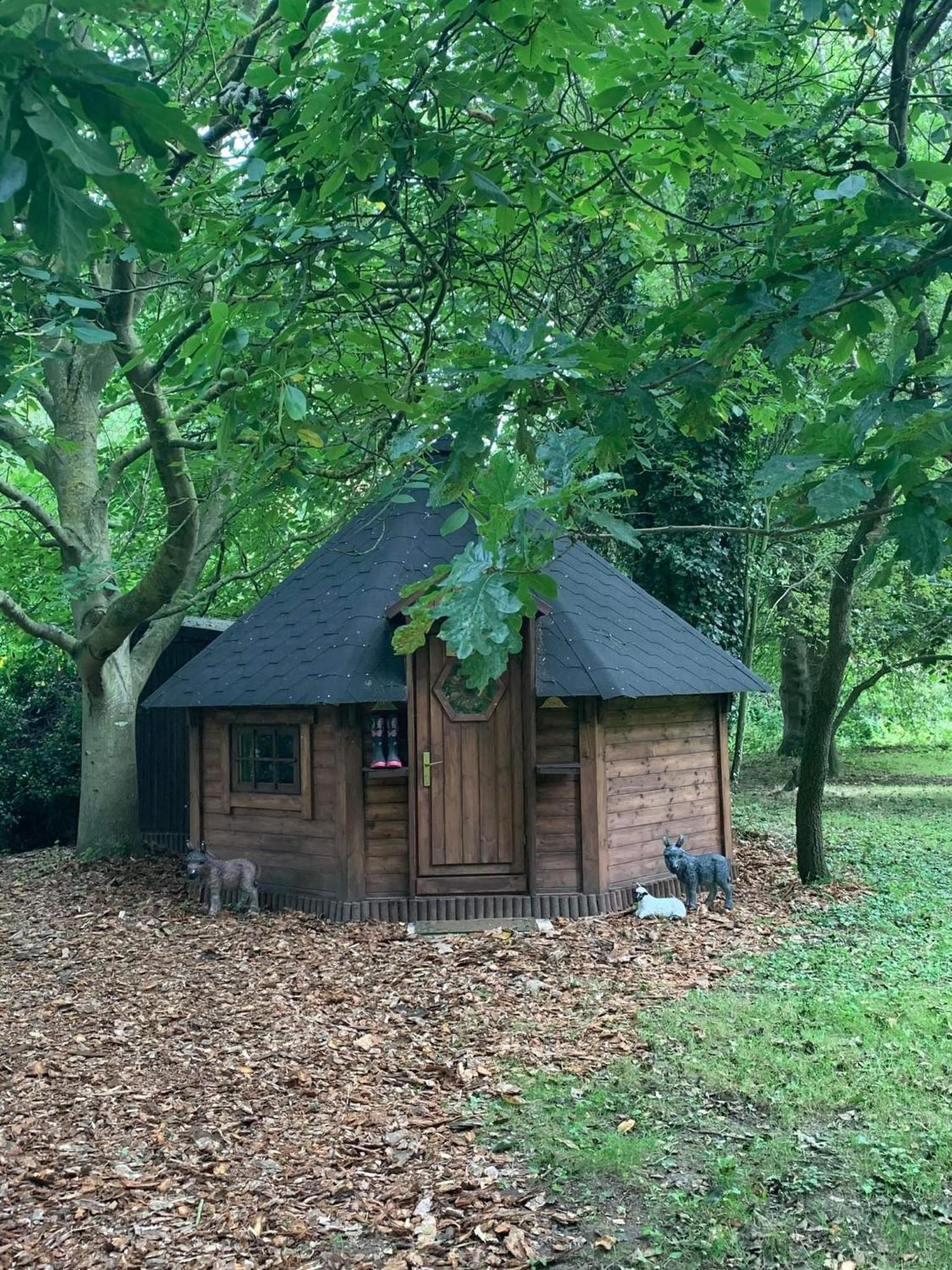 Starry Meadow & Rescued Animal Experiences Villa Great Yarmouth Rum bild