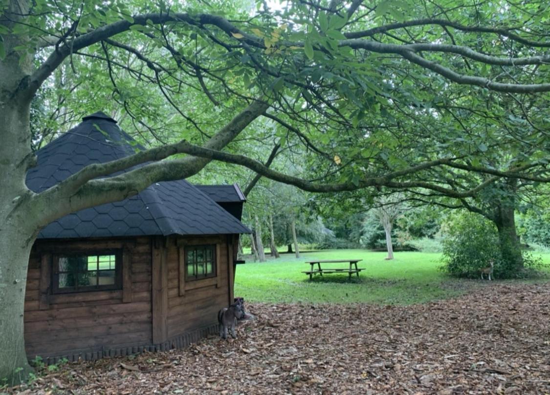 Starry Meadow & Rescued Animal Experiences Villa Great Yarmouth Exteriör bild
